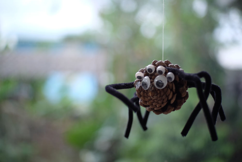 Spider,Made,Of,Pine,Cones